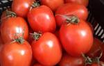 Описание фото особенности агротехники помидор рио гранде