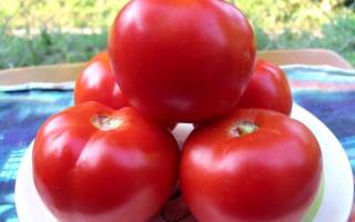 Как вырастить томаты спасская башня на домашней грядке