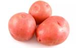 Сорт картофеля краса характеристика агротехника выращивания