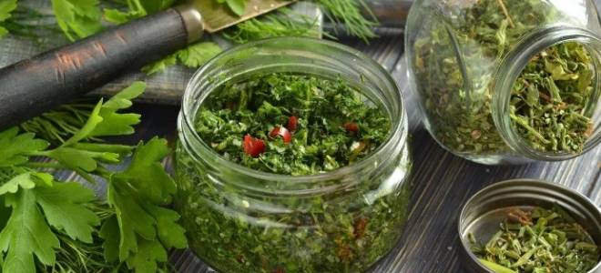 Как заготовить и хранить пряные травы зимой