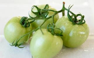 Зелёные помидоры по армянски рецепт с фото