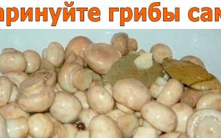Особенности и советы по маринованию грибов
