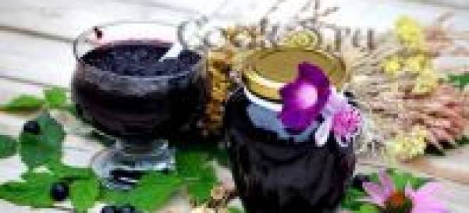 Подборка лучших рецептов заготовки рябины аронии черноплодной на зиму