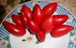 Описание и выращивание томата супермодель для открытого грунта