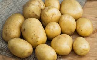 Картофель голубизна сортовые характеристики и особенности выращивания