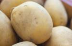 Сорт картофеля метеор характеристика агротехника выращивания