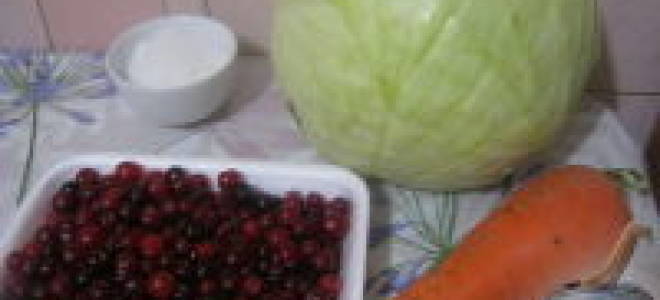 Как квасить капусту с клюквой рецепт на зиму