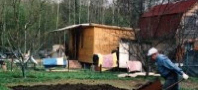 Как удобрять деревья