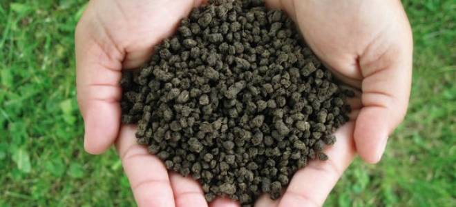 Использование разных видов органических удобрений