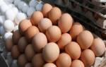 Дезинфекция и мытьё яиц перед инкубацией в домашних условиях