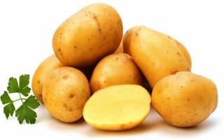 Картофель ласунок характеристика агротехника выращивания