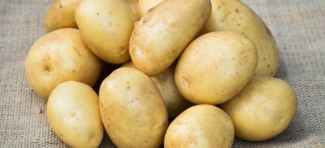 Картофель уладар описание сорта и особенности выращивания