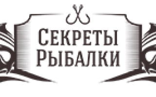 Урожай и размер сорт томатов бабушкино