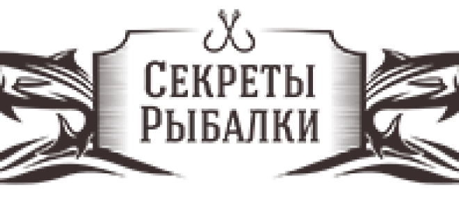 Урожай и размер сорт томатов бабушкино