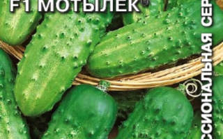 Огурцы корнишоны лучшие сорта