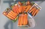 Весенняя посадка моркови лучшие советы