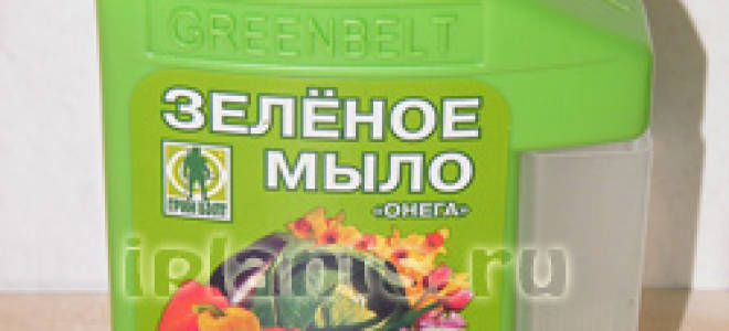 Зеленое мыло