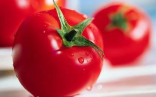 Как выбрать томаты для выращивания?