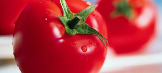 Как выбрать томаты для выращивания?