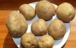 Особенности выращивания и характеристики сорта картофеля венета
