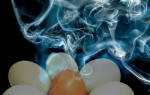 Как проводить дезинфекцию инкубатора перед закладкой яиц