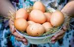 Как проверить свежесть яйца опустив его в воду