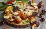 Какие грибы растут в ростовской области где можно собирать