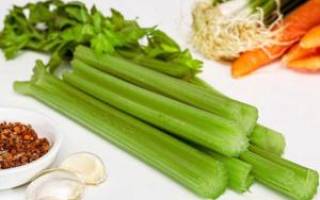 Как сохранить сельдерей на зиму заготовка витаминов в домашних условиях