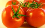 Особенности сорта и правила выращивания томатов красным красно