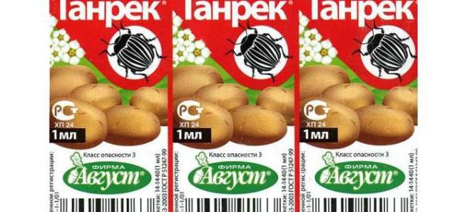 Как применять танрек в садоводстве и огородничестве