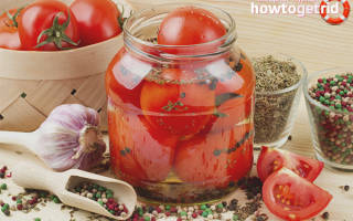 Как засолить и чем полезны соленые помидоры в банках