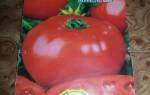 Высокоурожайный и скороспелый томат звезда сибири