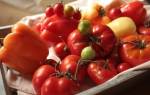 Когда нужно подкармливать рассаду помидоров и как это делать