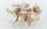 Как заморозить на зиму белые грибы сырыми вареными жареными