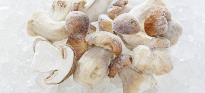Заморозка грибов на зиму в домашних условиях