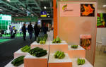 В киеве пройдет выставка фрукты овощи логистика 2017