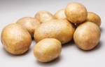 Сорт картофеля ривьера характерестика агротехника выращивания