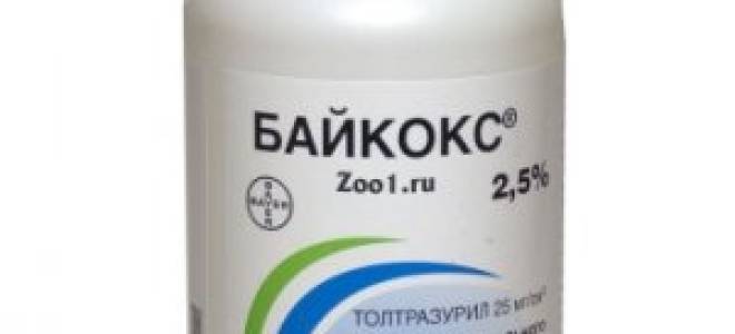 Как правильно применять препарат байкокс дозировка и способ применения